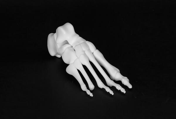 Esqueleto do pé